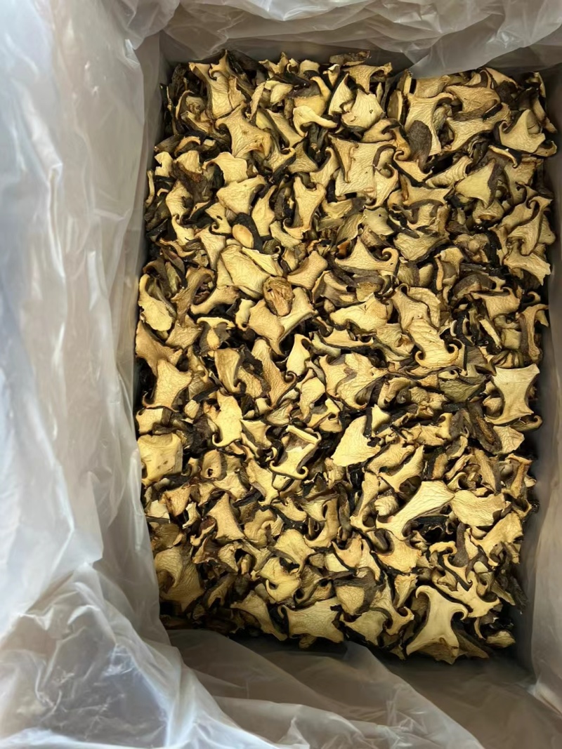 云南精品黑牛肝菌