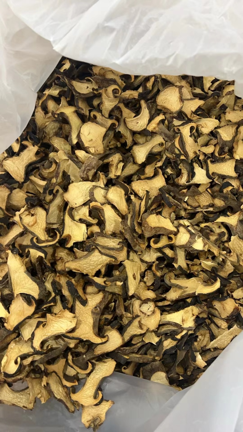 云南精品黑牛肝菌