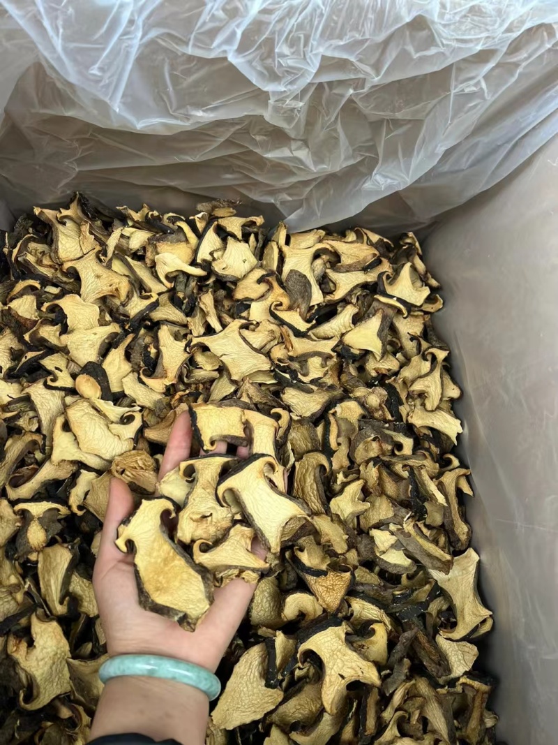 云南精品黑牛肝菌