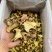 云南精品黑牛肝菌