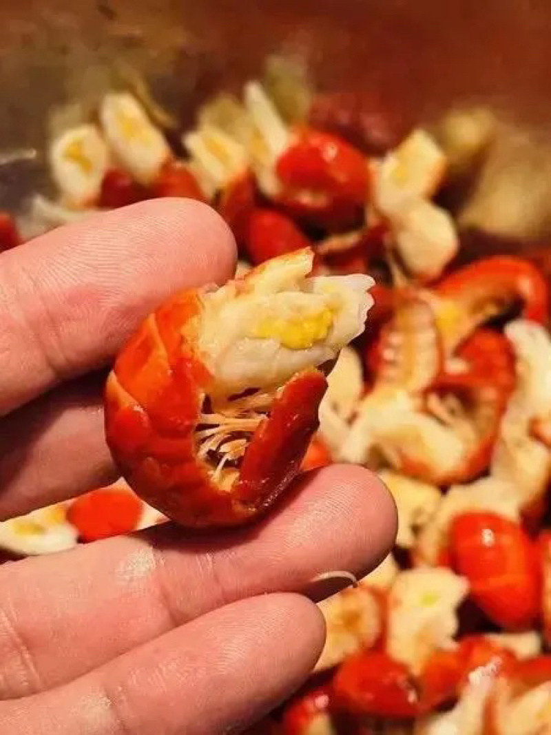 净重特级龙虾尾一整箱无冰衣龙虾尾商小龙虾冷冻餐饮批发
