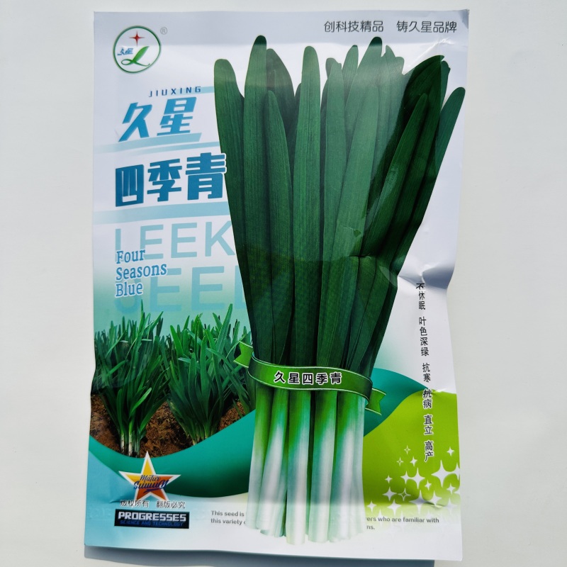 久星四季青韭菜种子抗寒抗病高产四季韭菜种子宽叶多年生蔬菜