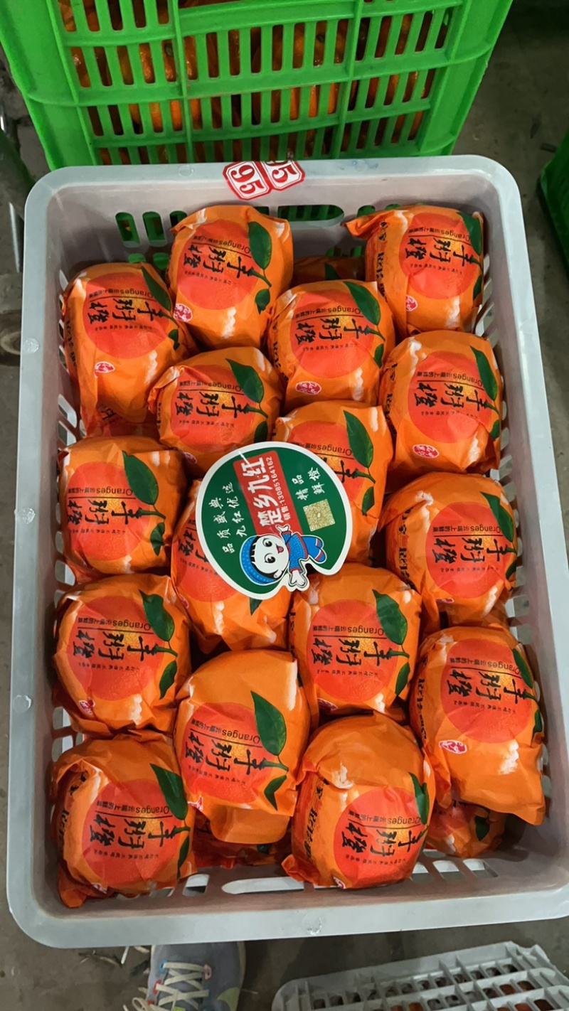湖北宜昌枝江市纽荷尔脐橙大量上市中，口感纯甜