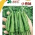 小香妹品味椒辣椒种子，极早熟，坐果能力强，皮薄肉脆口感好