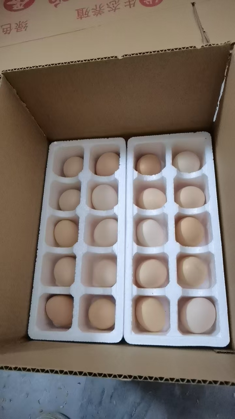 粉蛋批发40-55克一枚