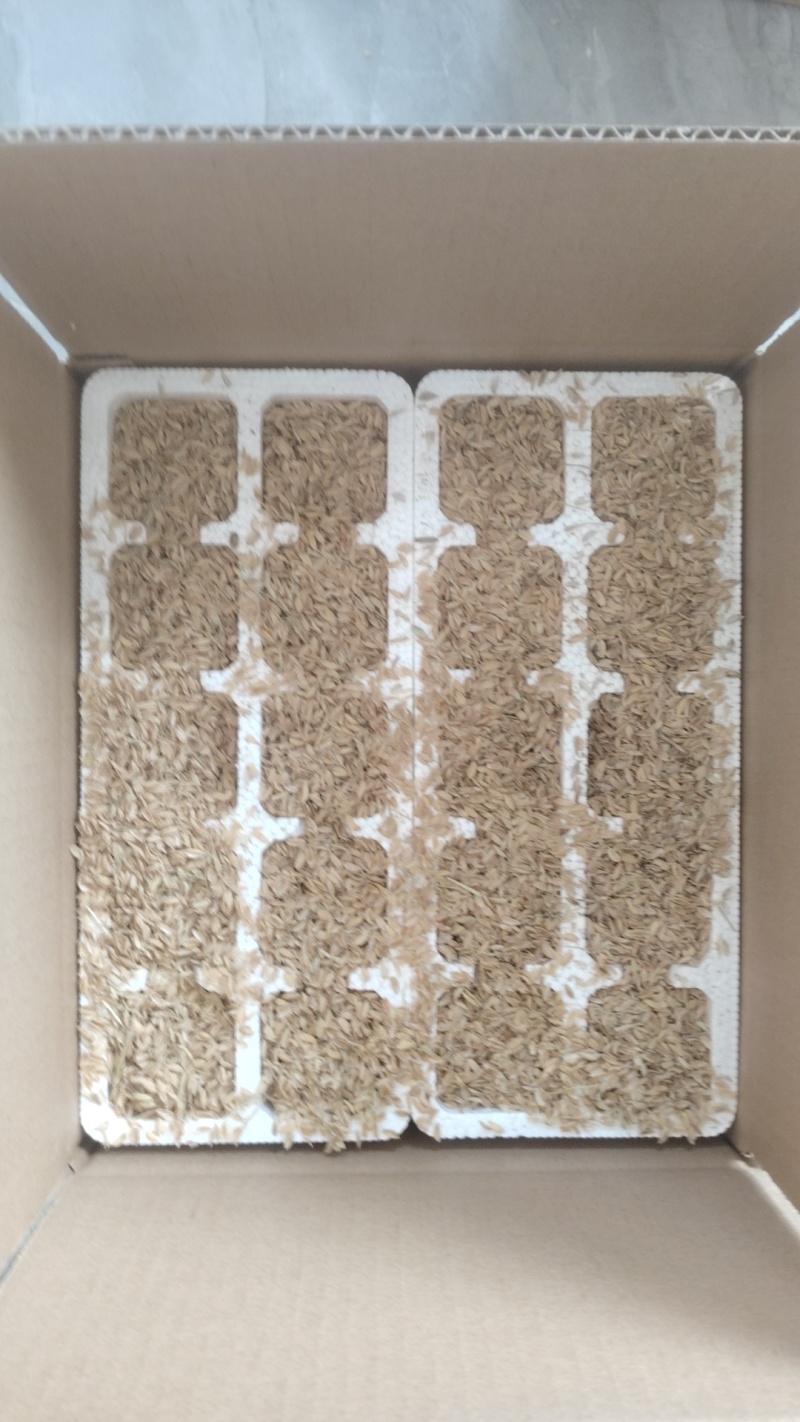 粉蛋批发40-55克一枚