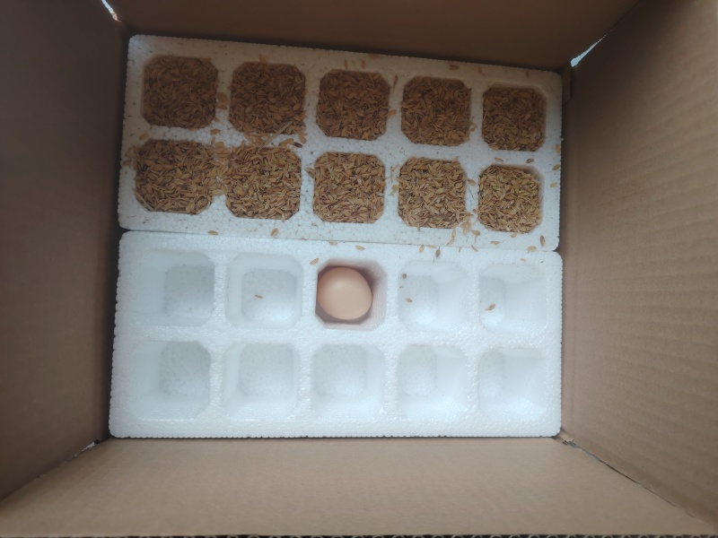 粉蛋批发40-55克一枚
