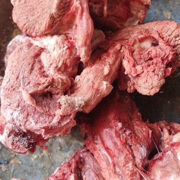 特推出，鞭根肉