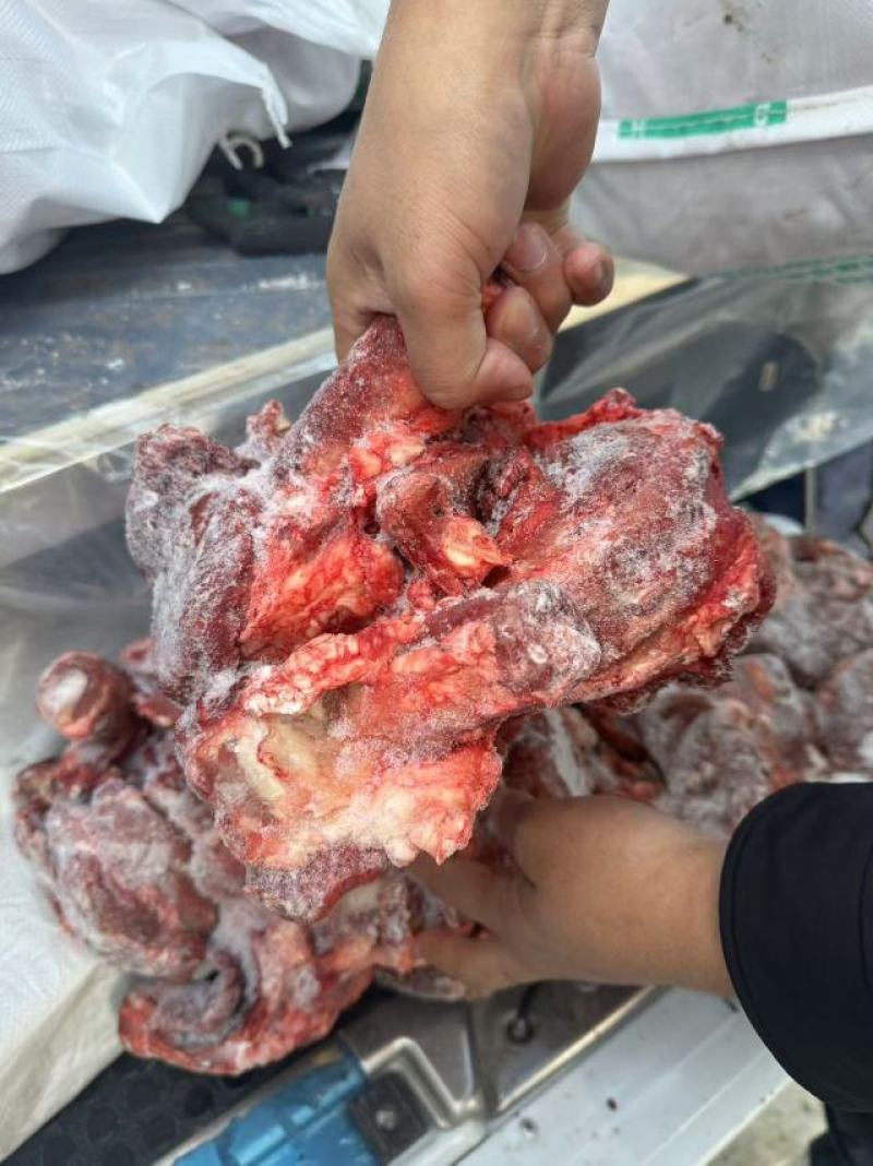 特推出，鞭根肉