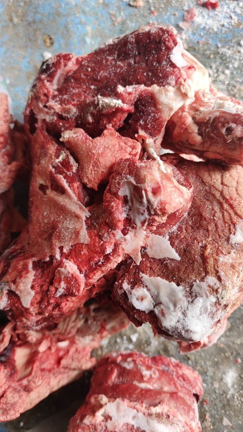 特推出，鞭根肉