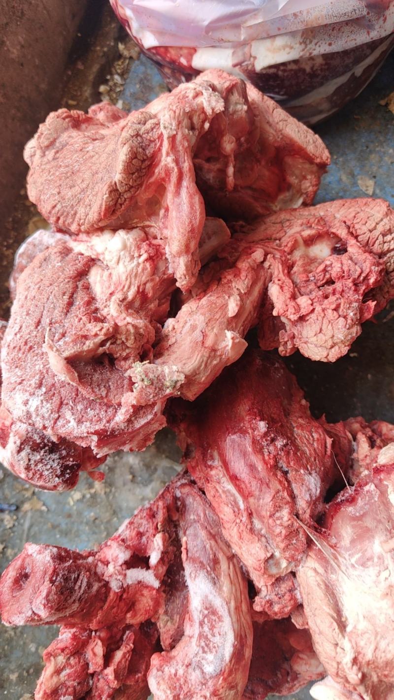 特推出，鞭根肉