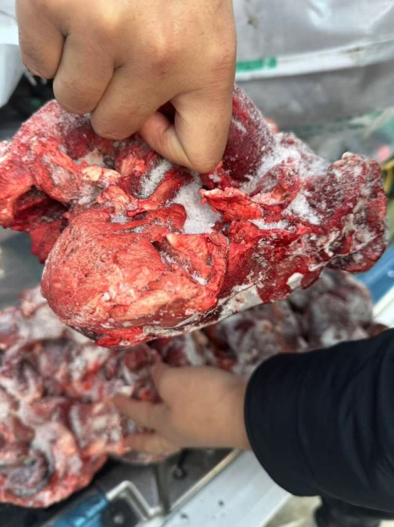 特推出，鞭根肉
