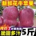 【爆甜】甘肃天水花牛苹果当季整箱应黑卡蛇果孕妇冰糖心新鲜水果