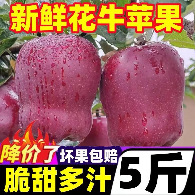 【爆甜】甘肃天水花牛苹果当季整箱应黑卡蛇果孕妇冰糖心新鲜水果