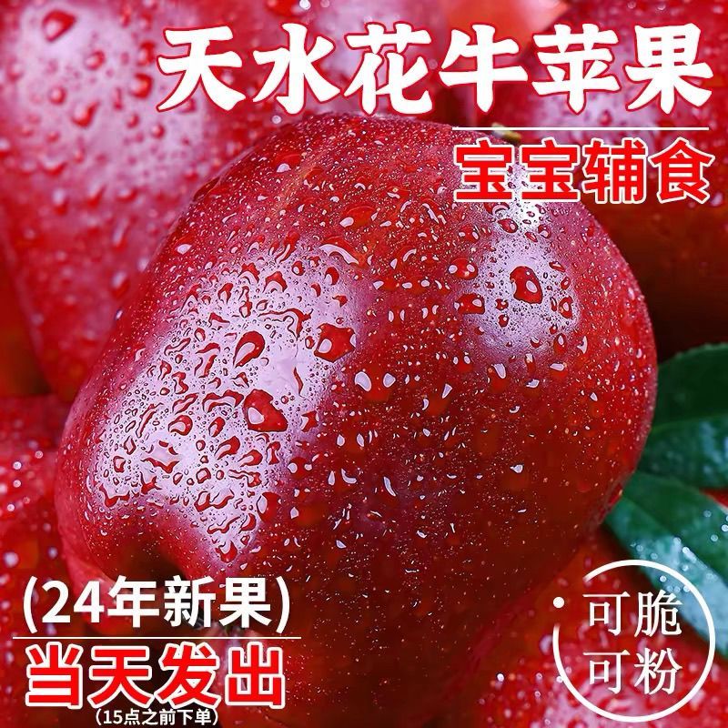 【爆甜】甘肃天水花牛苹果当季整箱应黑卡蛇果孕妇冰糖心新鲜水果