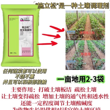 松土降盐碱爆根旋地，让老茬变新茬，栽任何蔬菜都可以