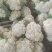精选白面青梗松花菜，大量上市欢迎来合作洽谈