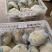 精选白面青梗松花菜，大量上市欢迎来合作洽谈