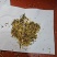 大量现货供应江苏国营农场冬油菜籽