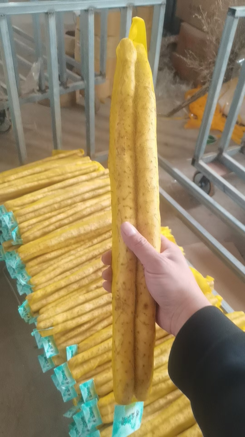 河北小白嘴麻山药铁杆山药水洗网兜箱货黑头麻山药产地直供