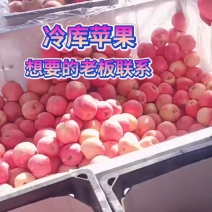专业代办
