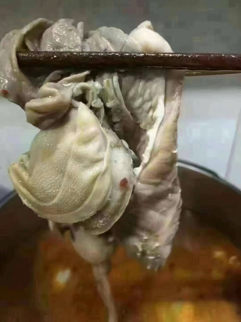羊小肚，羊肚白叶，红肠都有，质量好实拍图片