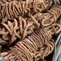 白狗肠【包邮】三斤起发货可批量可零售量大从优