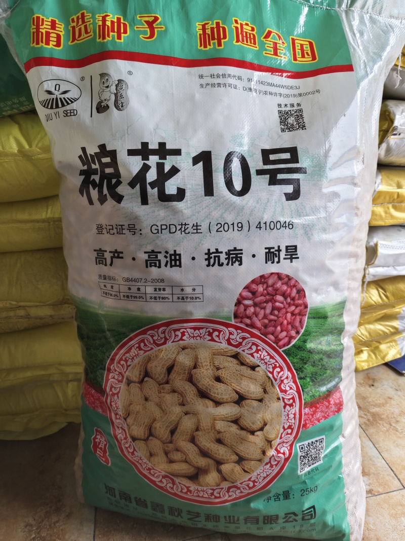 粮花10号花生种子原种早熟抗病高产花生种子粮花10