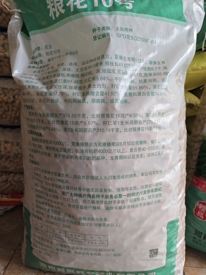 粮花10号花生种子原种早熟抗病高产花生种子粮花10