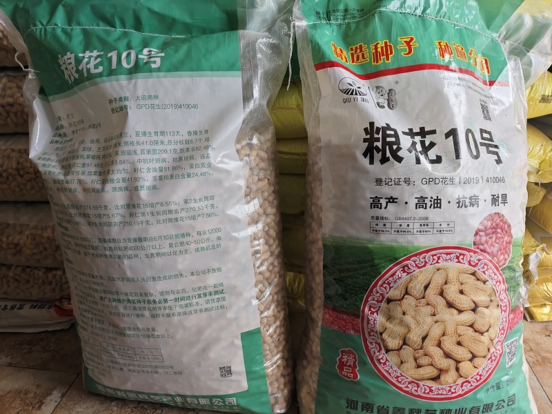 粮花10号花生种子原种早熟抗病高产花生种子粮花10