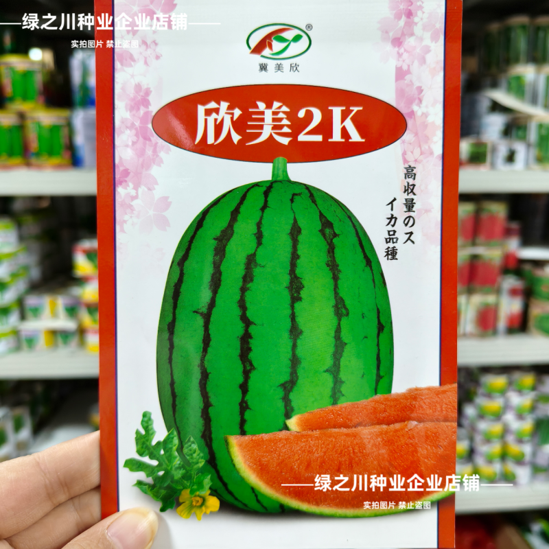 欣美2k西瓜种子椭圆形早熟小型西瓜种籽甜度高抗病超甜水果