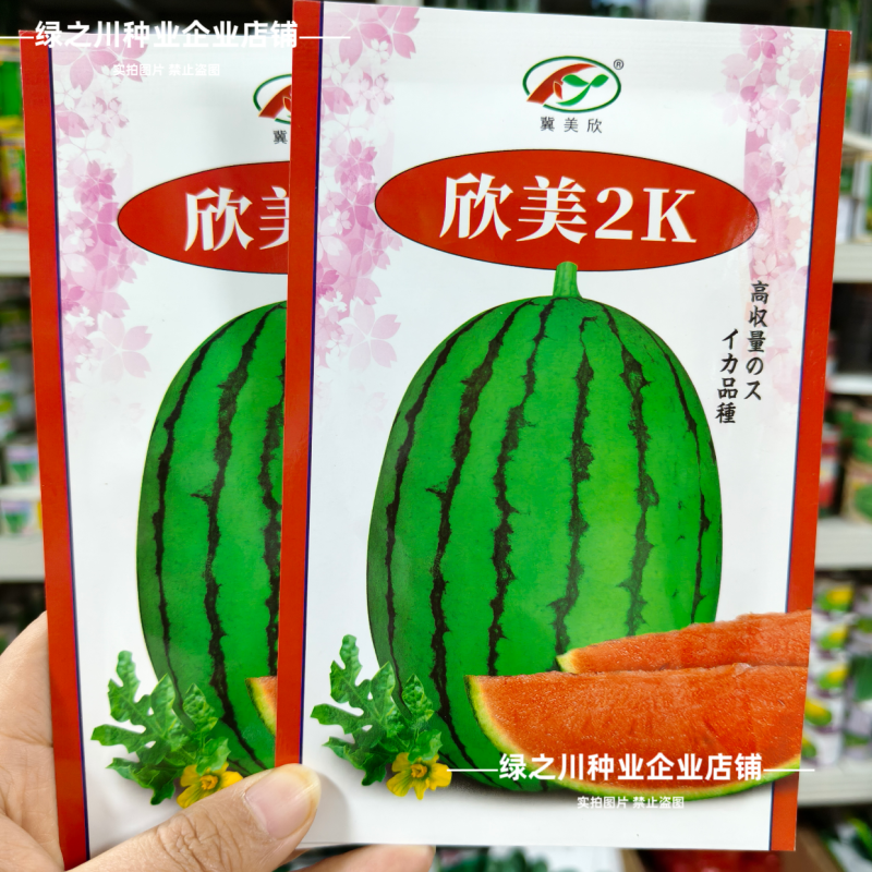 欣美2k西瓜种子椭圆形早熟小型西瓜种籽甜度高抗病超甜水果