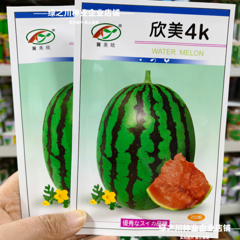 欣美4k西瓜种子冰糖多汁高产早熟抗病椭圆西瓜种子薄皮红肉