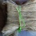 纯红薯粉条