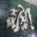 牛肚领肚叉大量上市产地直发，品质保证，服务周到诚信经营