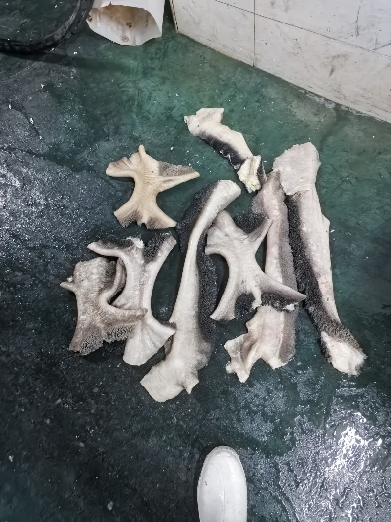 牛肚领肚叉大量上市产地直发，品质保证，服务周到诚信经营