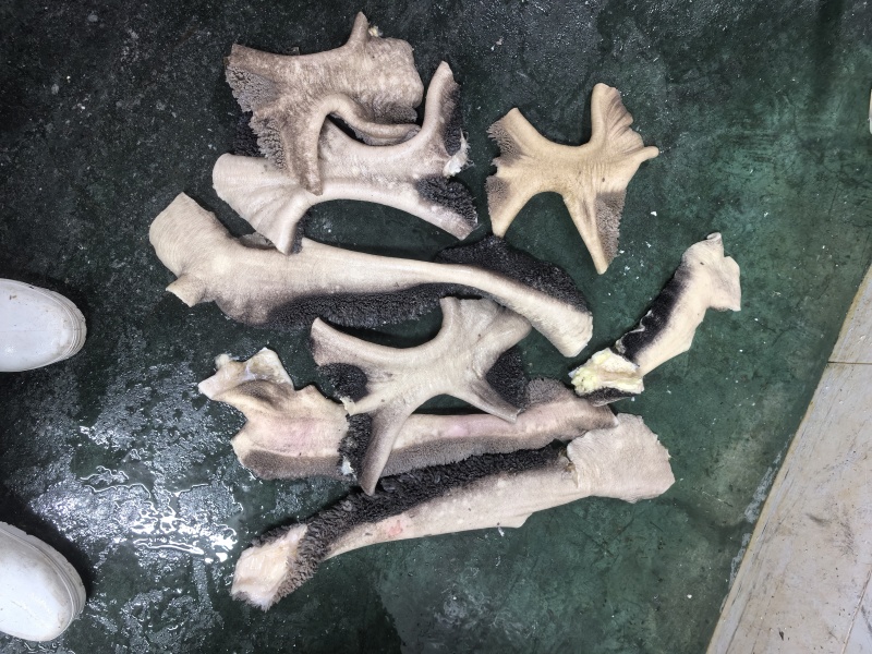 牛肚领肚叉大量上市产地直发，品质保证，服务周到诚信经营