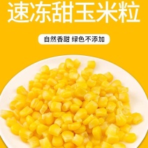 2025年新东北速冻甜玉米粒轻食食材家用商用打玉米浆饮品