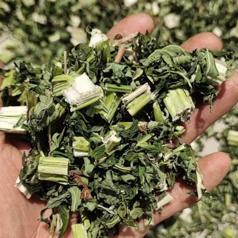 益母草