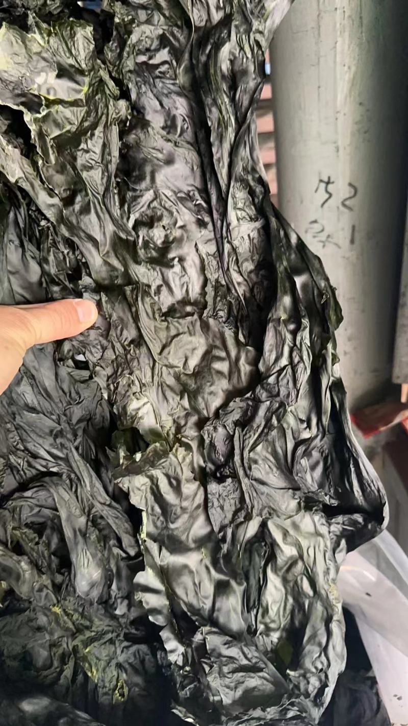 海带边日晒海带干海带海带皮烘干水洗海带边烘干海带片干海带