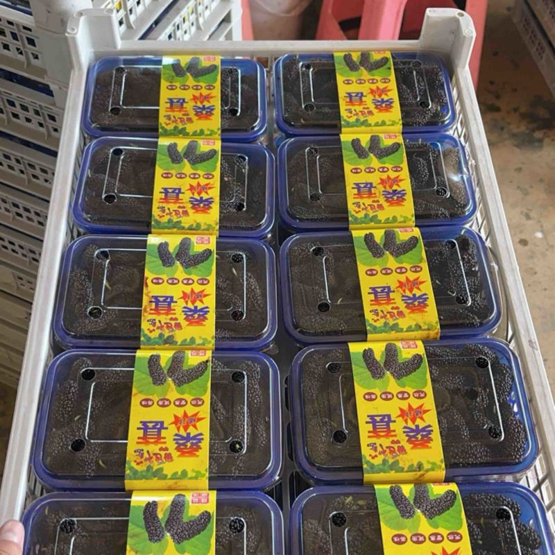 精品桑葚支持各种规格包装，12合1，10合1，8合1，