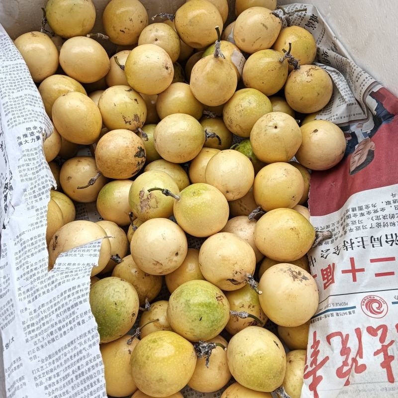 百香果
