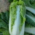 河北保定市高阳县丽姐蔬果基地批发新鲜蔬菜