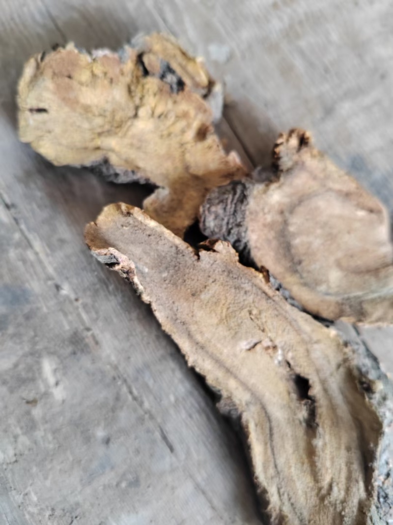 土大黄60吨出售，（兽用）
