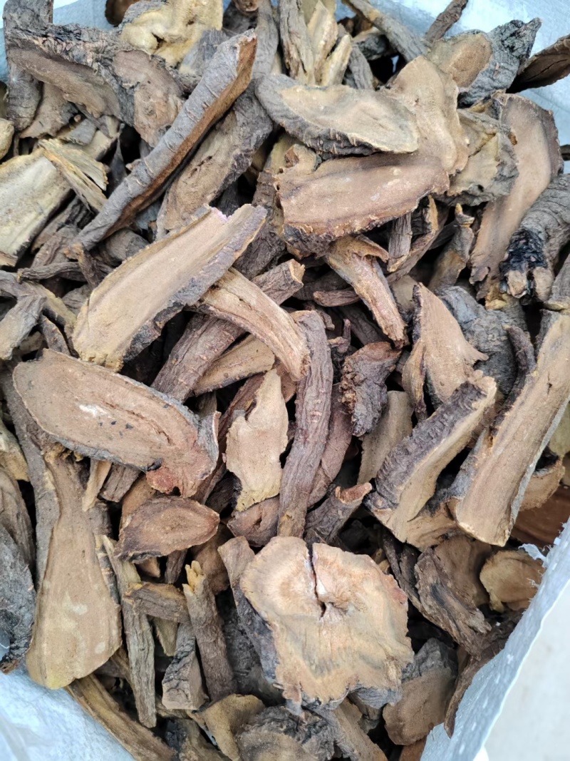 土大黄60吨出售，（兽用）