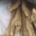 山药