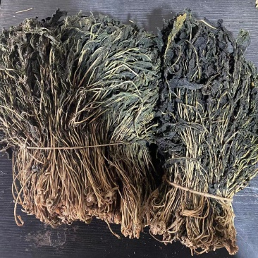 马齿苋干货，蔬菜干菜