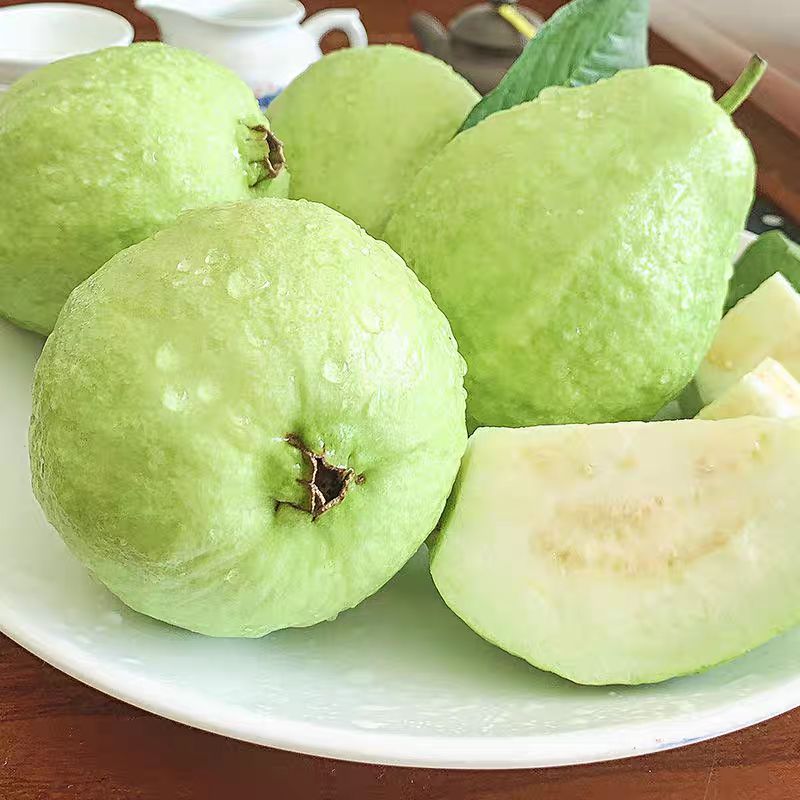 【番石榴珍珠番石榴/奶油芭乐/廉江番石榴/全国供应批发