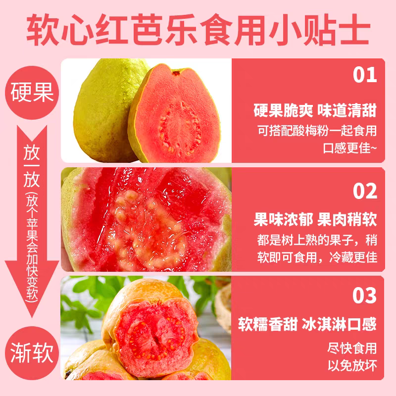 【推荐】红心番石榴/广东广西芭乐/廉江番石榴/红心芭乐