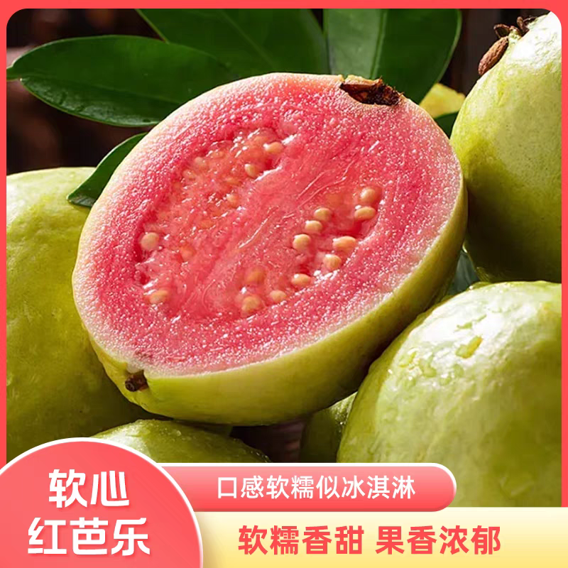 【推荐】红心番石榴/广东广西芭乐/廉江番石榴/红心芭乐
